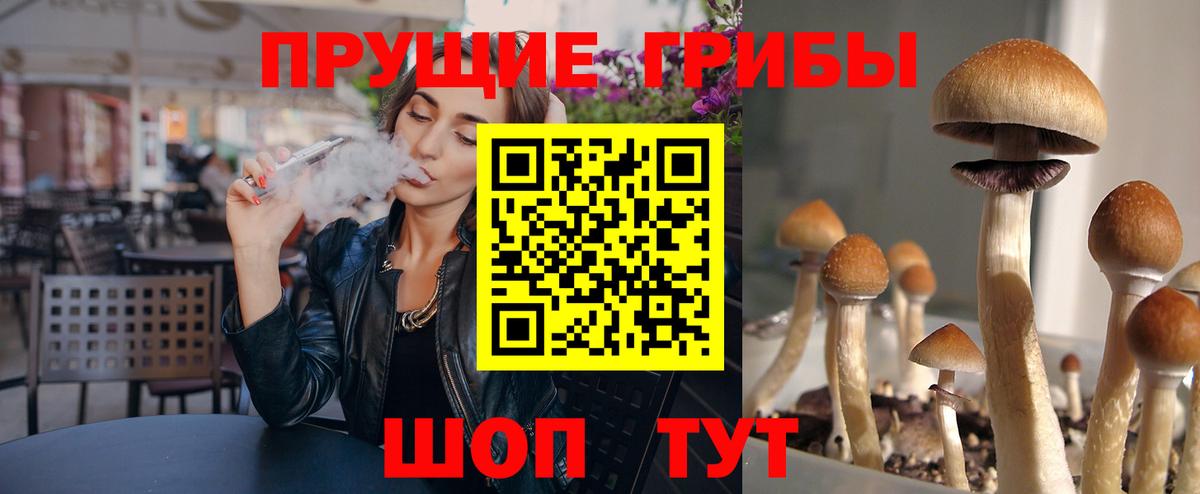 Галлюциногенные грибы GOLDEN TEACHER Курчатов