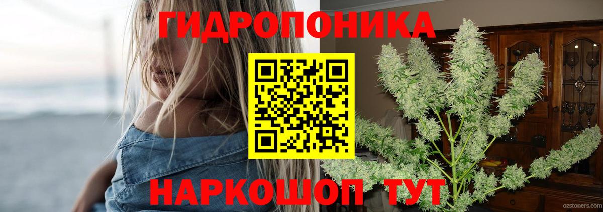 Каннабис Amnesia Курчатов